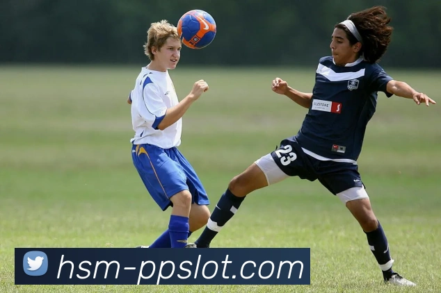 奥林匹斯之门1000官网平台生态图